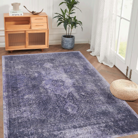 Area Rug 4x6, Washable Rug, Low-Pile, Non-Slip, Non-Shedding, Foldable, Kid & Pet Friendly - Area Rugs for living room, bedroom, kitchen