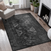 Area Rug 5x8, Washable Rug, Low-Pile, Non-Slip, Non-Shedding, Foldable, Kid & Pet Friendly - Area Rugs for living room, bedroom, kitchen