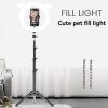 Desk Makeup LED Ring Light, Makeup Ring Light with PhoneClip, Studio Selfie LED Ring Light Fill Lamp for LiveStream/Makeup/Video, Ring Fill Light